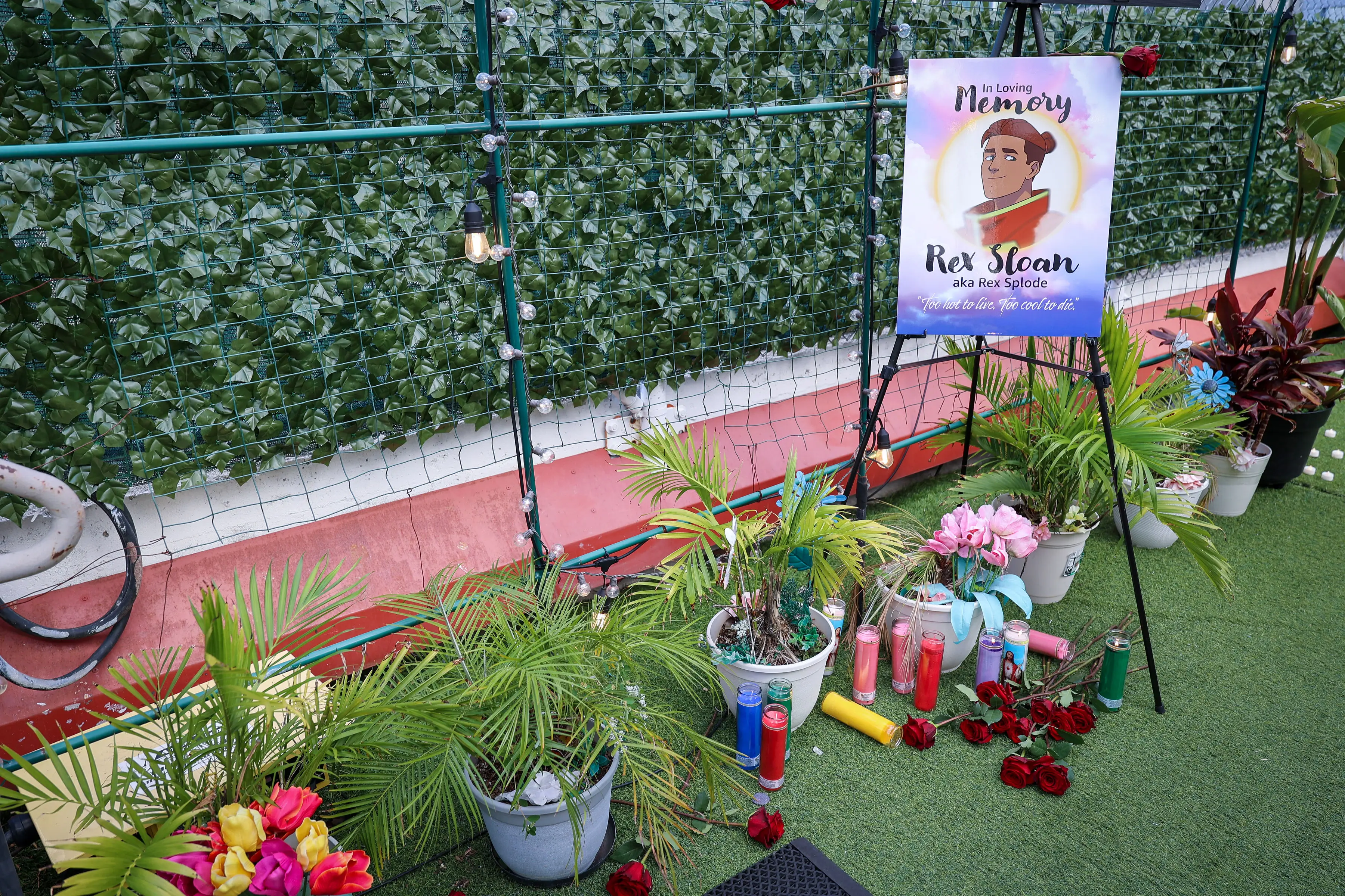 A memorial altar on artificial turf with a printed “In Loving Memory Rex Sloan” poster on an easel, potted palms, roses, and a row of colored vigil candles beneath netted greenery.