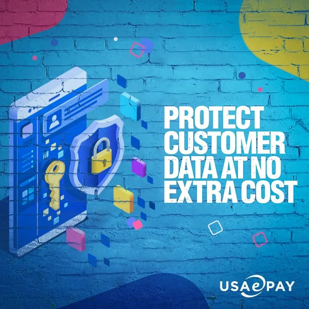 Blue brick mural-style graphic with an illustrated mobile device, shield padlock icon and bold white text reading 'PROTECT CUSTOMER DATA AT NO EXTRA COST,' with USAePay logo in corner.