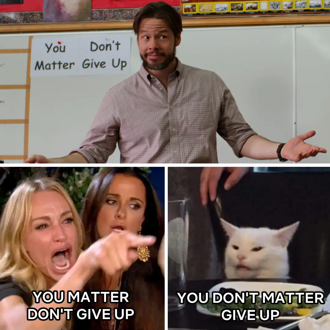 A three-panel composite: a man gesturing in a classroom with handwritten signs behind him, and a two-panel meme below showing a woman yelling and a white cat at a dinner table with bold captions.