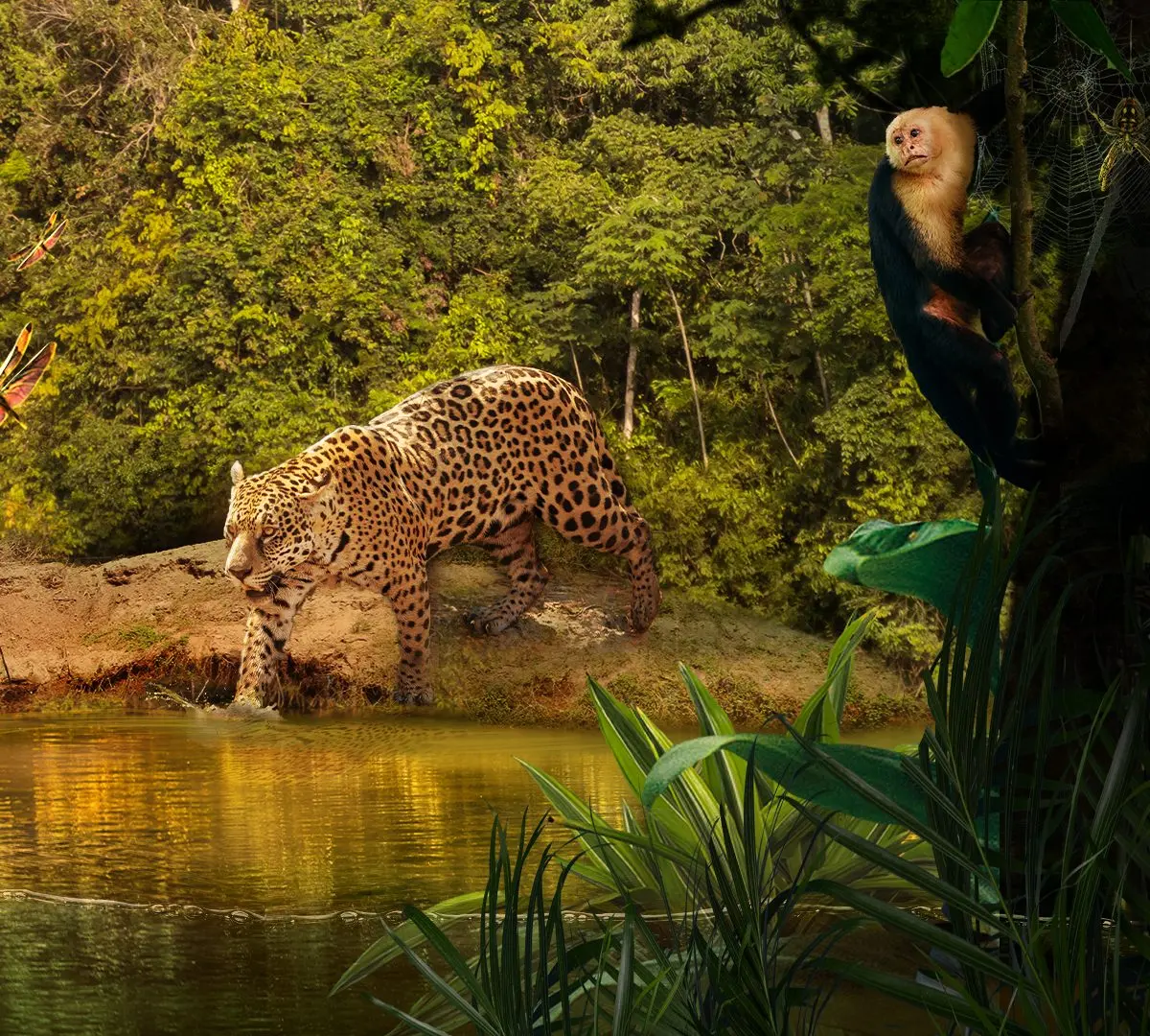 Four Jungle Cruise carousel cards depict a riverboat, jungle wildlife, a vine-covered statue, and a final card promoting the film’s theatrical and Disney+ release.